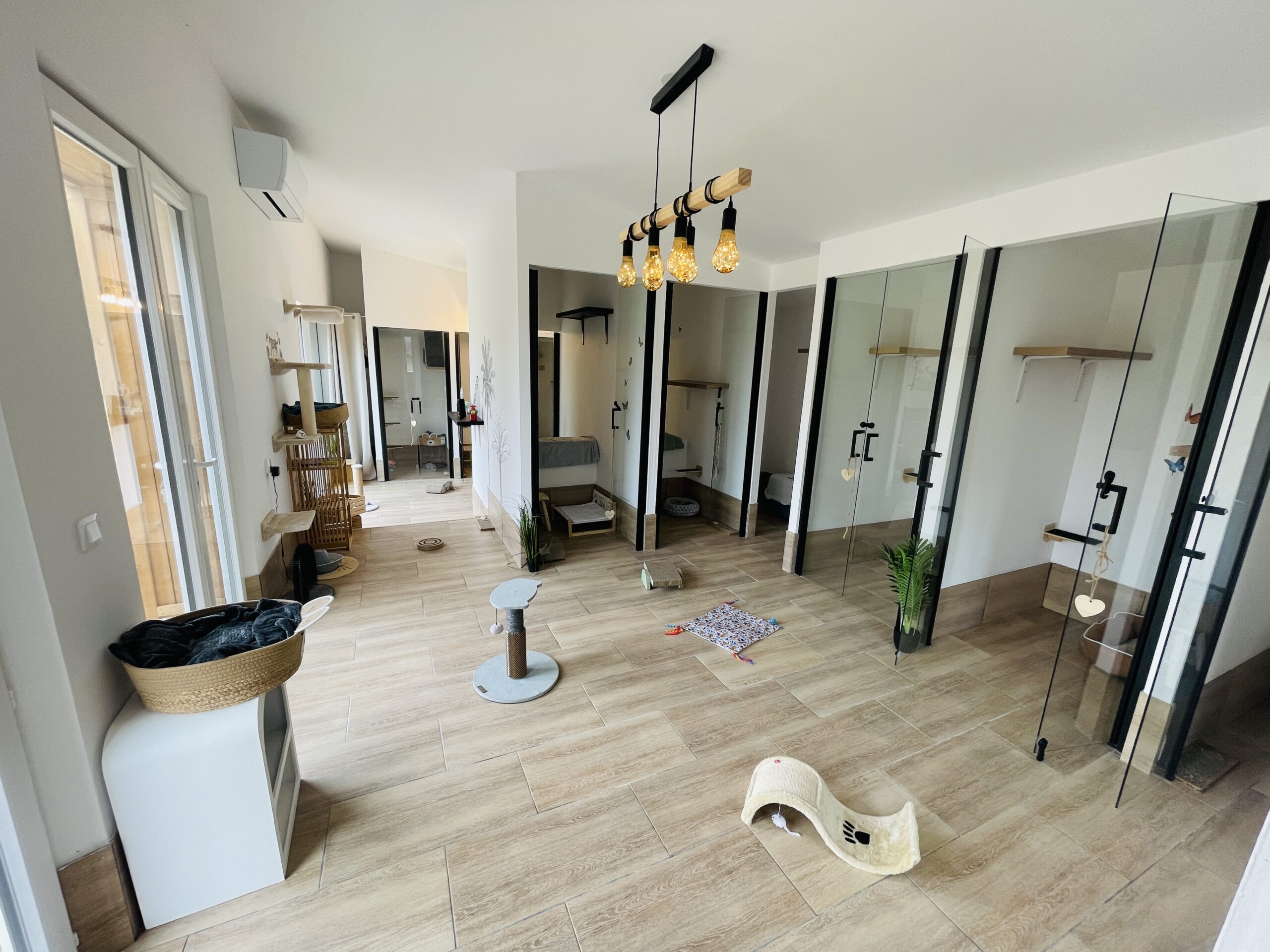 pension pour chat à agen