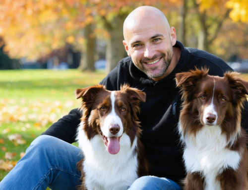 Prix pension chien : comment bien choisir et maîtriser son budget