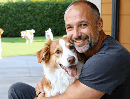 Découvrez la meilleure pension pour chien près de chez vous