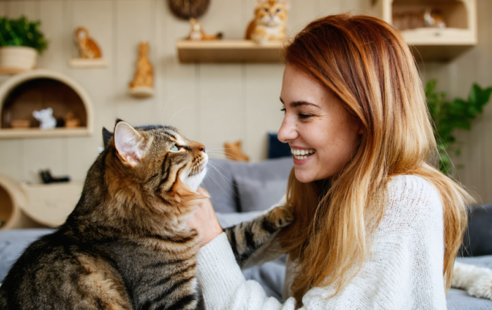 découvrez comment la photo pension pour chat peut améliorer le bien-être de votre félin en lui offrant un environnement sécurisé et stimulant, même en votre absence. offrez à votre compagnon le plaisir d'une socialisation enrichissante et d'un confort inégalé.