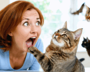 découvrez les surprises et les aventures inattendues qui attendent votre félin lorsqu'il séjourne en pension. une expérience unique qui pourrait changer votre vision des pensions pour animaux !