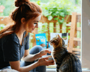 découvrez nos conseils pour choisir la meilleure alimentation pour assurer la santé et le bien-être de votre chat, en tenant compte de ses besoins nutritionnels à chaque étape de sa vie.