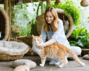 offrez à votre chat un séjour exceptionnel dans une pension haut de gamme où bien-être, sécurité et jeux sont au rendez-vous. un véritable paradis secret pour votre félin !