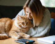 optimisez les dépenses quotidiennes pour assurer le bien-être et la santé de votre chat avec nos conseils pratiques et simples.