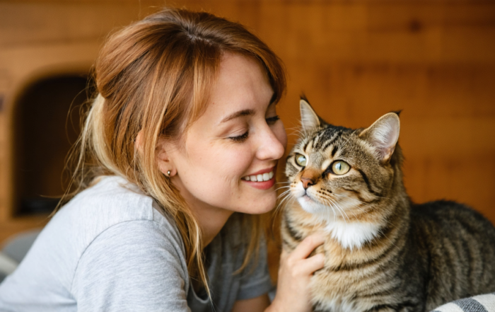 découvrez les avantages d'une pension pour chat et comment elle peut améliorer le bien-être et le bonheur de votre animal lorsque vous êtes absent.