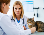 découvrez le vrai coût caché de la pension pour votre chat chez le vétérinaire et évitez les surprises désagréables. informez-vous dès maintenant !